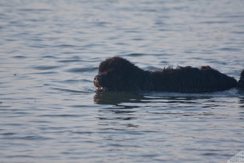 Фотография № 129868