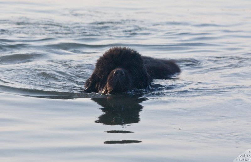 Фотография № 129878