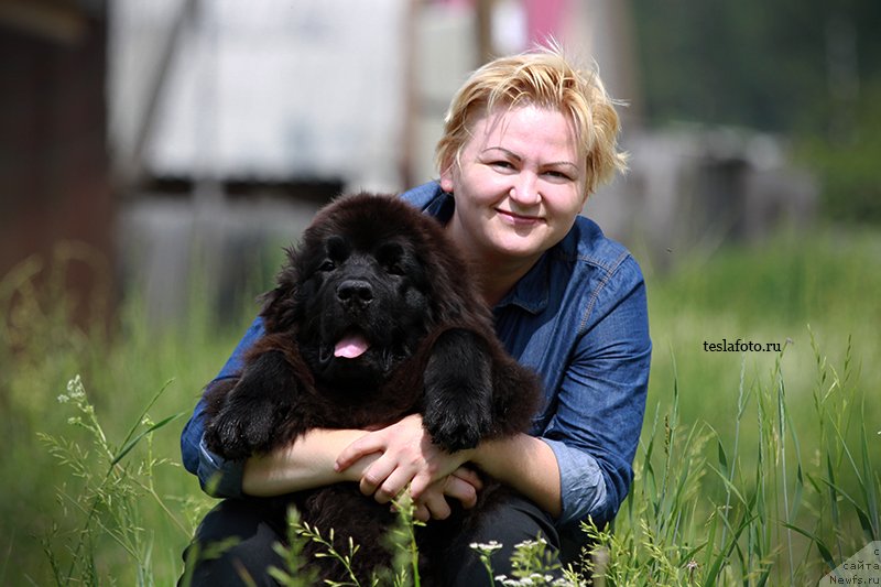 Фото: ньюфаундленд Aquatoriya Kelvin Sharliz (Акватория Келвин Шарлиз)