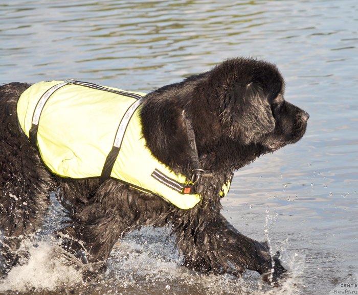 Фотография № 129908