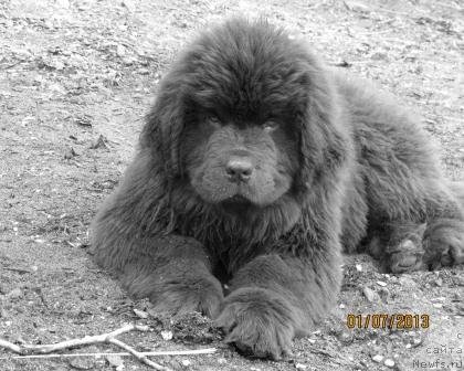 Фотография № 129927