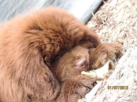 Фото: Мой Милый Друг Потап