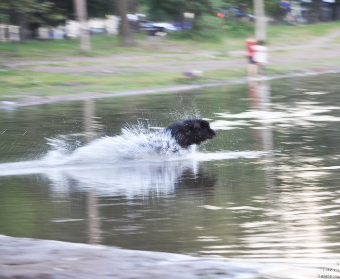 Фотография № 129941