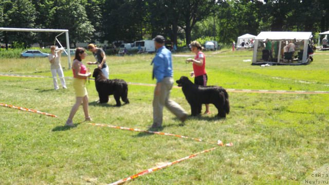 Фотография № 129984