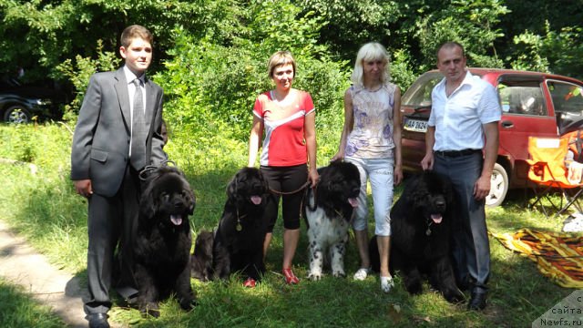 Фотография № 129985