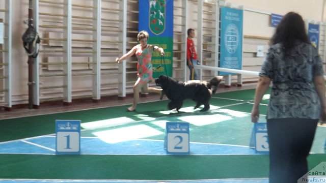 Фотография № 129987