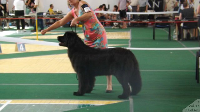 Фотография № 129989