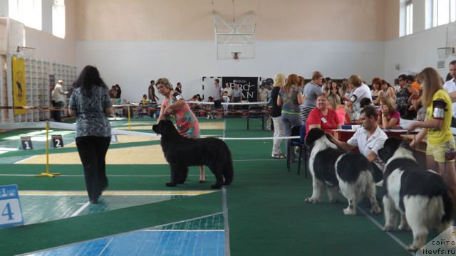 Фотография № 129990