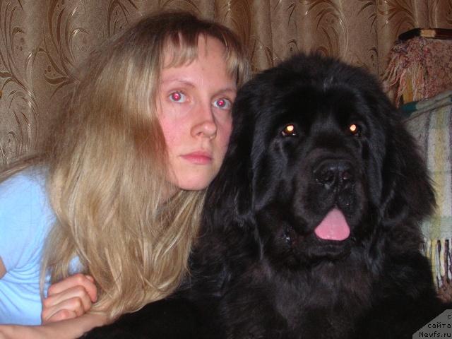Фото: Elizaveta Neznakomceva (Елизавета Незнакомцева), ньюфаундленд King of Helluland Dizzy Beauty
