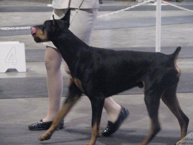 Фотография № 13002