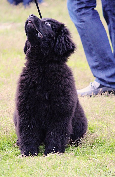 Фотография № 130022