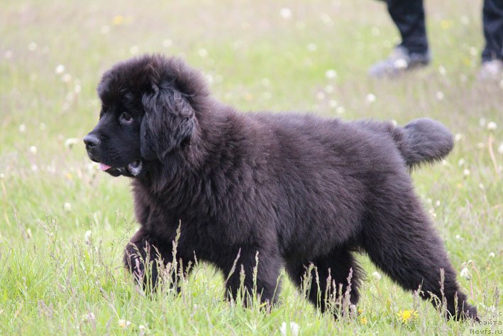 Фотография № 130023