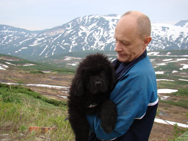 Фото: ньюфаундленд Sent Djons Zhiscar D'Estaing Edmon (Сент Джонс Жискар Д'Эстен Эдмон), мой муж Борис