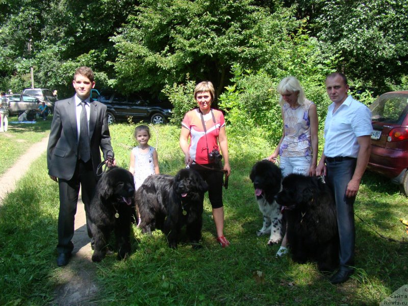 Фотография № 130046