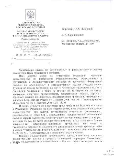 Фото: Elena Grigor'eva (Елена Григорьева)