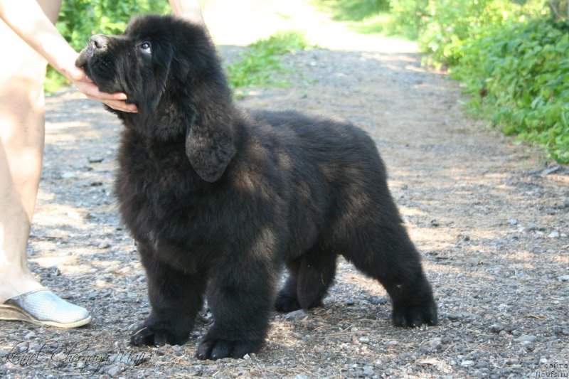 Фотография № 130066