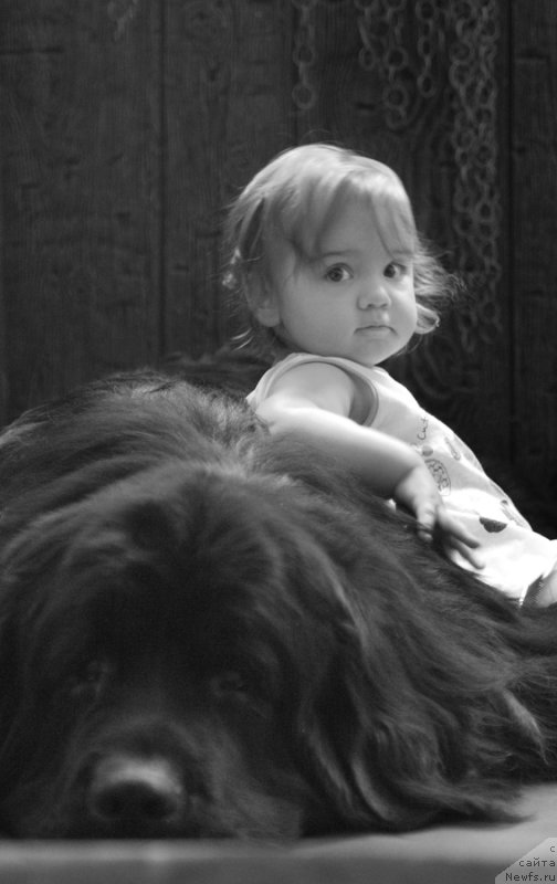 Фотография № 130069