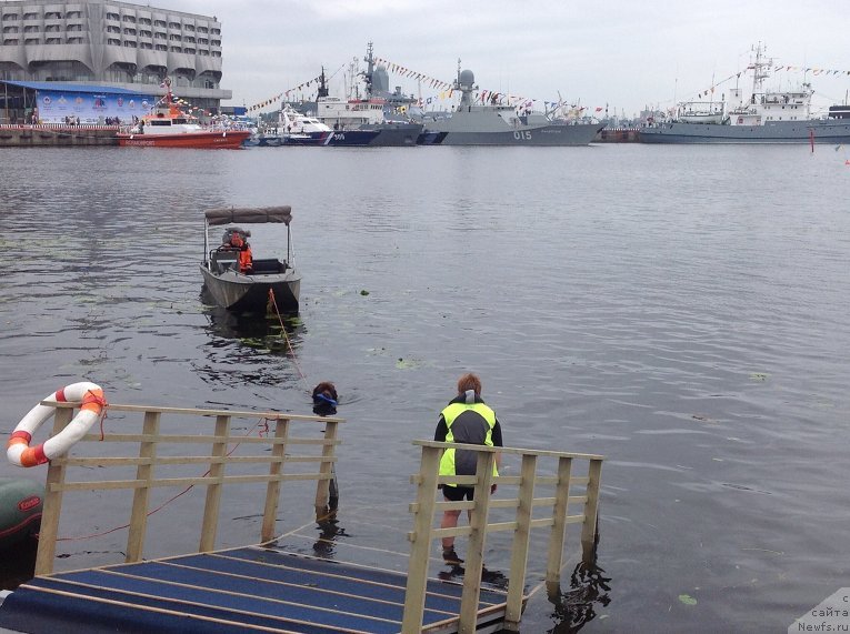 Фото: ньюфаундленд Ocharovashka s Berega Dona (Очаровашка с Берега Дона)