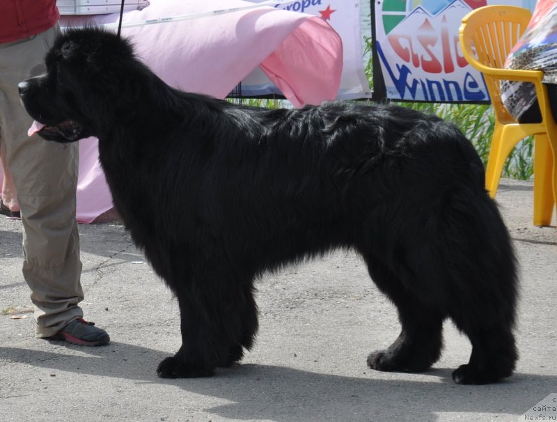 Фотография № 130073