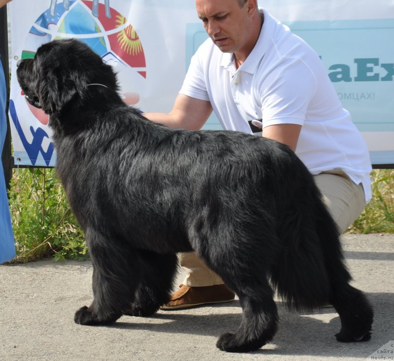 Фотография № 130079