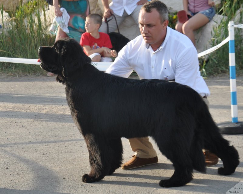 Фотография № 130081