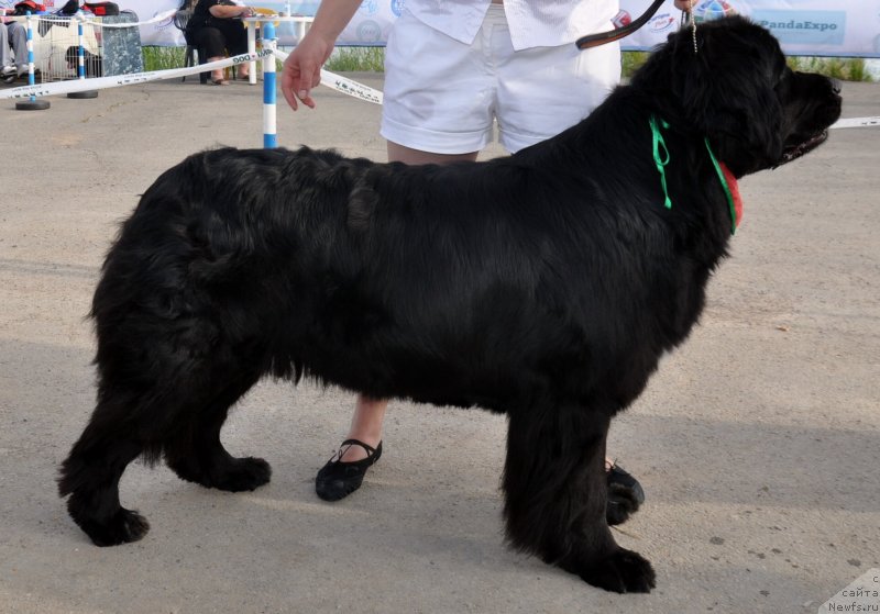 Фотография № 130083