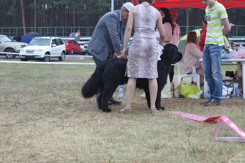 Фотография № 130120