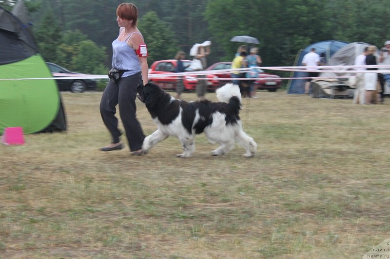 Фотография № 130121