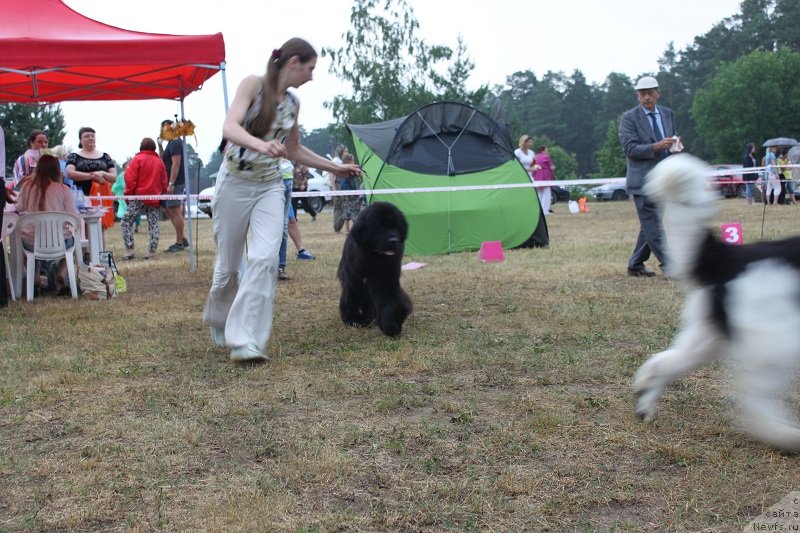 Фотография № 130125