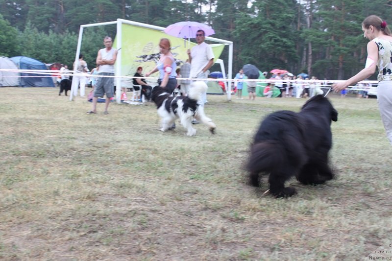 Фотография № 130126