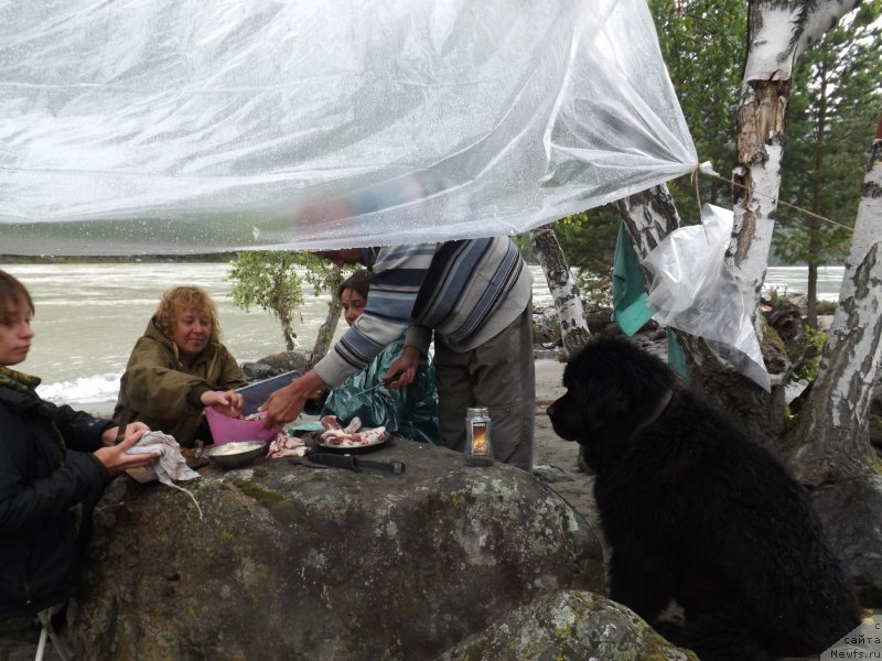 Фотография № 130140