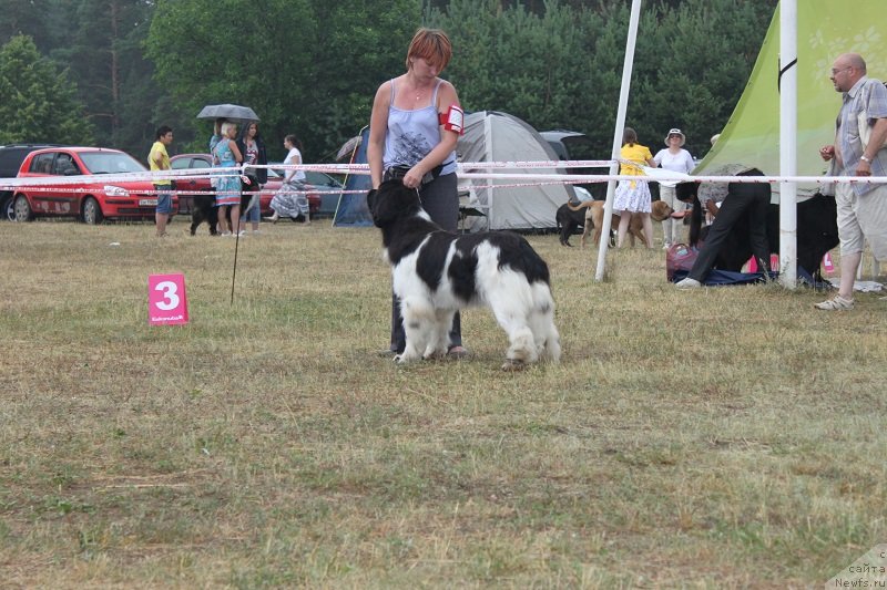 Фотография № 130164