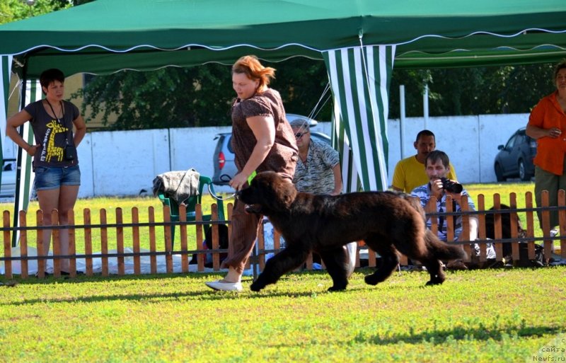 Фотография № 130187