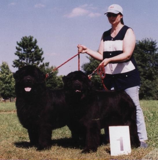 Фотография № 13019