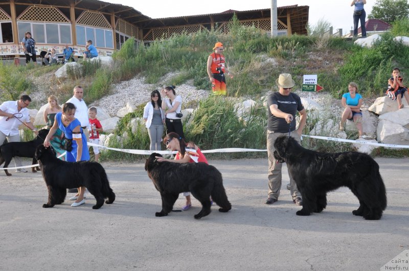 Фотография № 130191