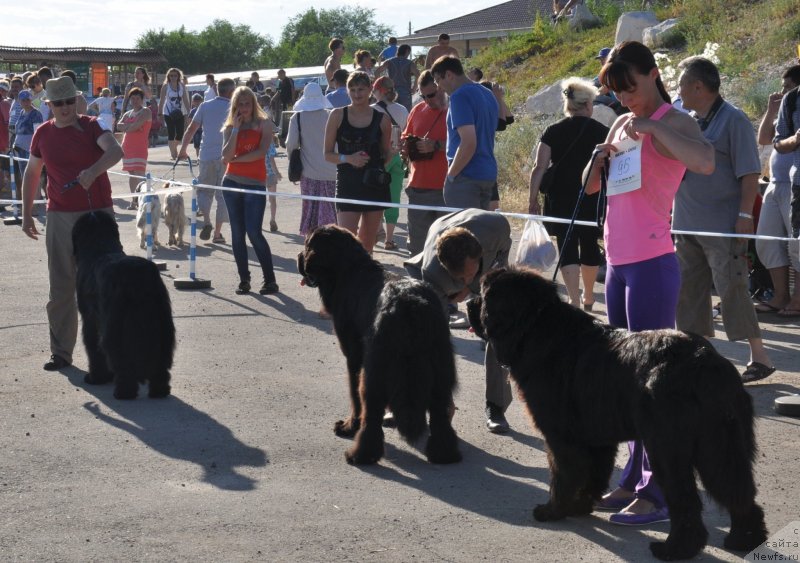 Фотография № 130194