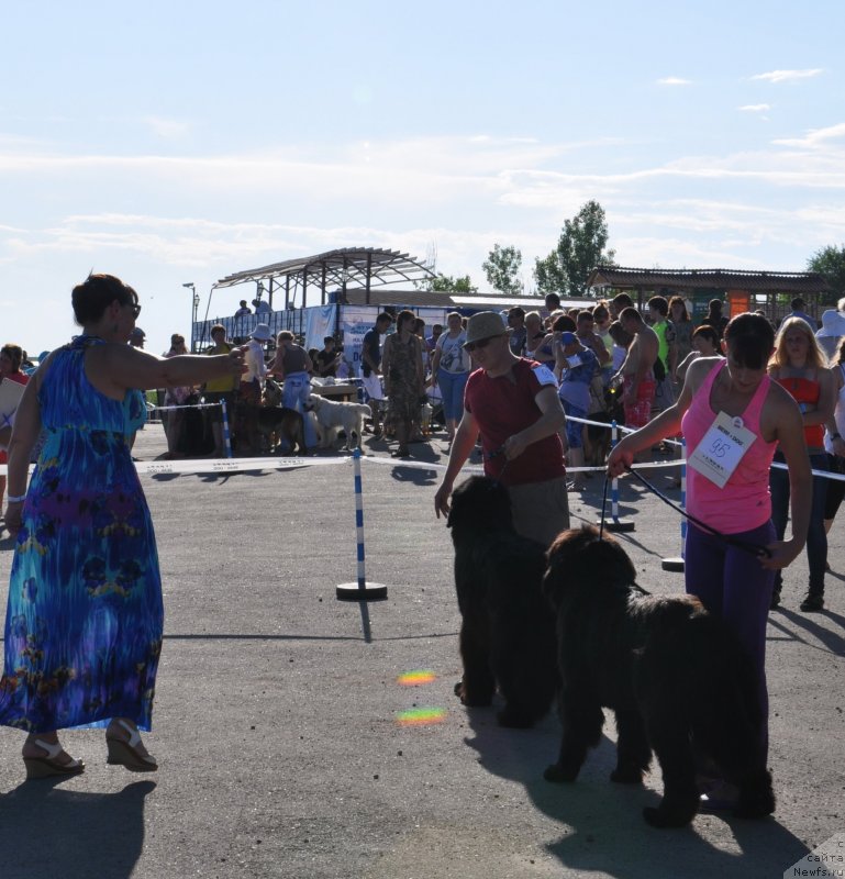 Фото: Блан-де -блан Вин де Спейс, Бомбей Сапфир Джин