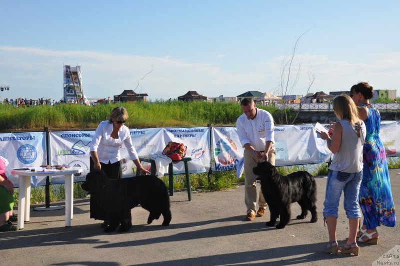 Фотография № 130198