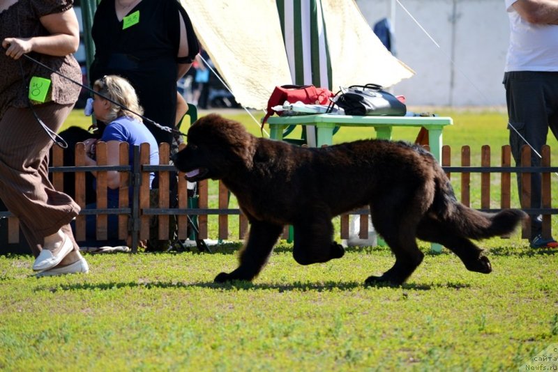 Фотография № 130199