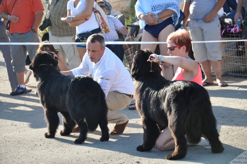 Фотография № 130200