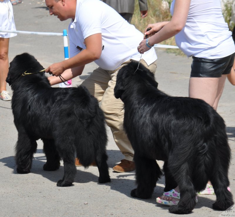 Фотография № 130214