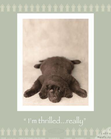 Фотография № 13022