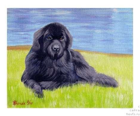 Фотография № 13024