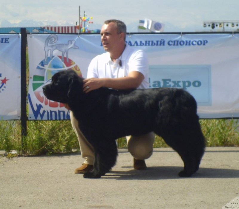 Фотография № 130279