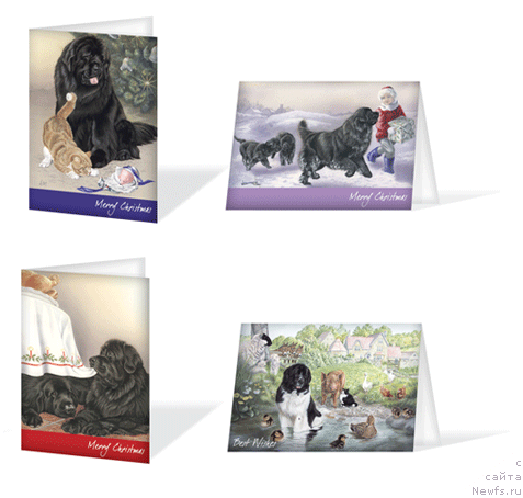 Фотография № 13028