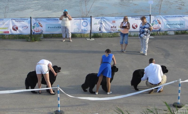 Фотография № 130282