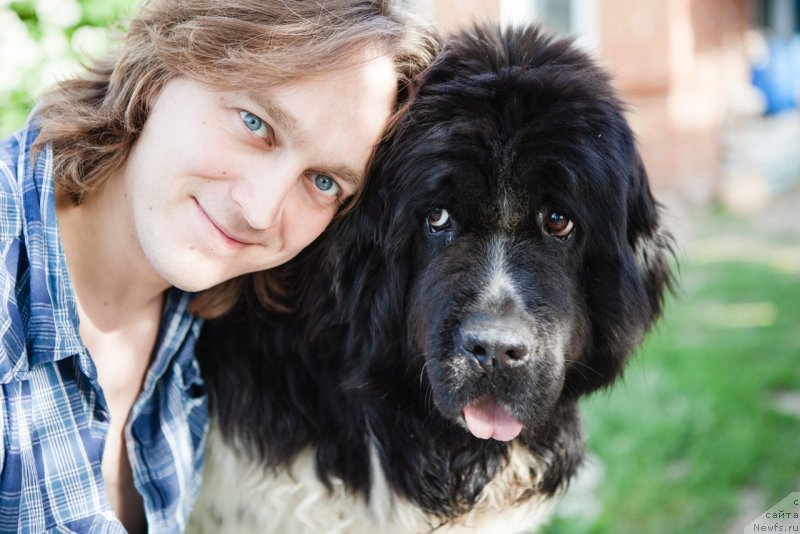 Фото: Evgeniy Nenaglyadov (Евгений Ненаглядов), ньюфаундленд Plushevaya Panda Deniza Dlja  Berega Dona (Плюшевая Панда Дениза для Берега Дона)