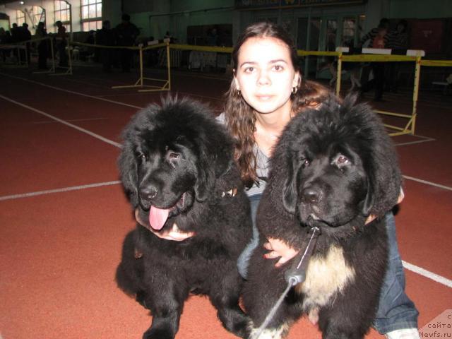 Фото: Рокот Волны Варга Кара Аюлар (Rokot Volny Varga Kara Ayular), Робертино Раскошный Мальчишка Отарго Аютка (Robertino Roskoshny Malchishka Otargo Ayutka), Katerinka Klassen (Катеринка Классен)