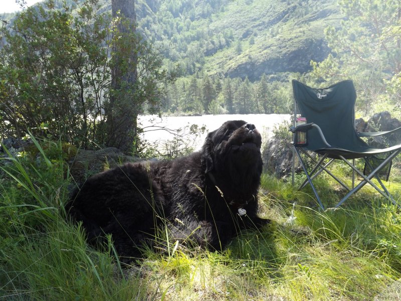 Фотография № 130314