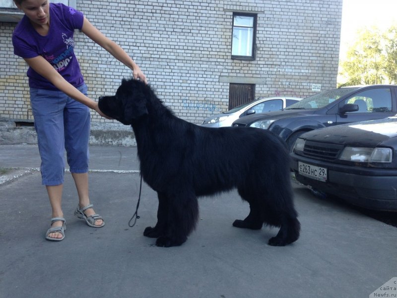 Фотография № 130332